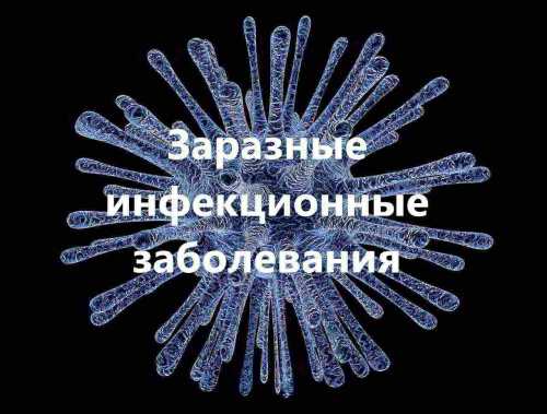 инфекции мочевыделительной системы: натуральная терапия