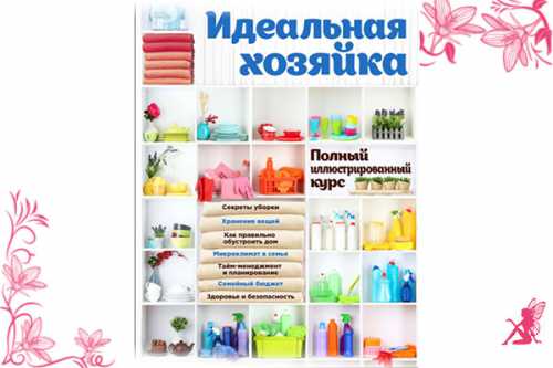 хозяйка уговаривает кошку не есть торт но, похоже, лиза забыла, что ей положено любить мясо хозяйка уговаривает кошку не есть торт но, похоже, лиза забыла, что ей положено любить мясо